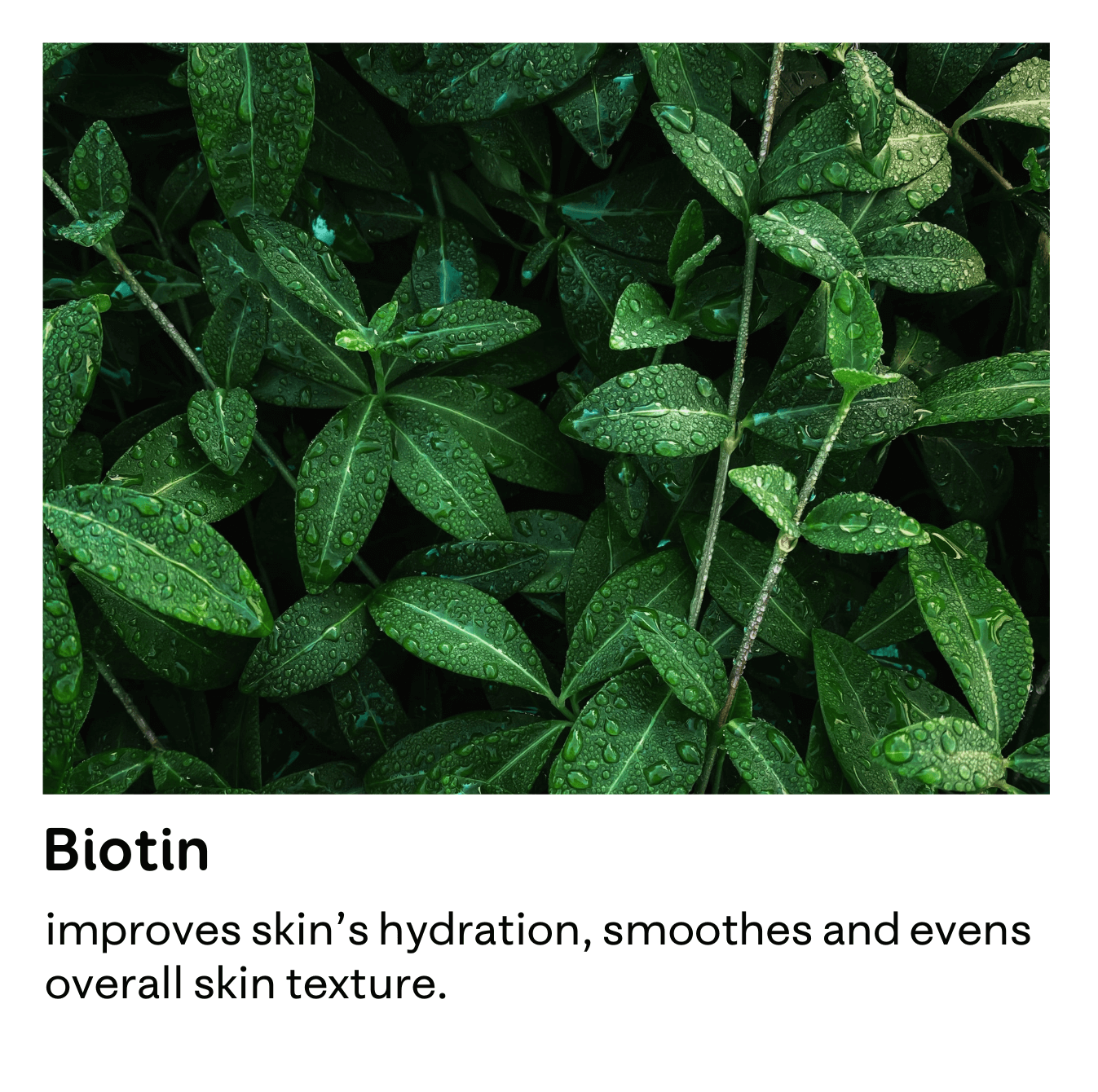 An image of biotin with information about the benefits it has for skincare purposes.